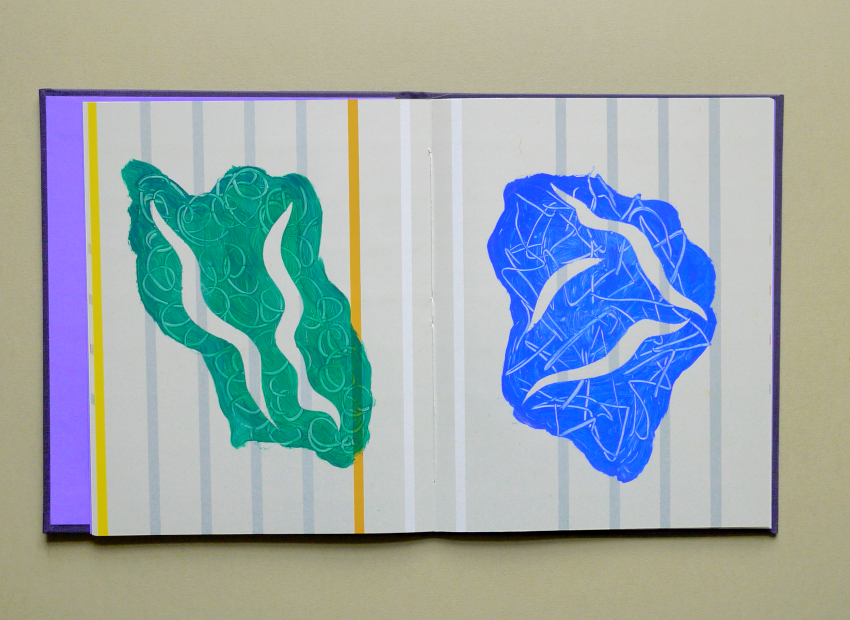 image du titre UN ÉCUEIL HÉSITANT