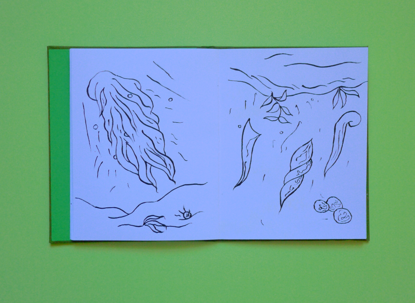 image du titre EN RAISON DE LA COLLINE