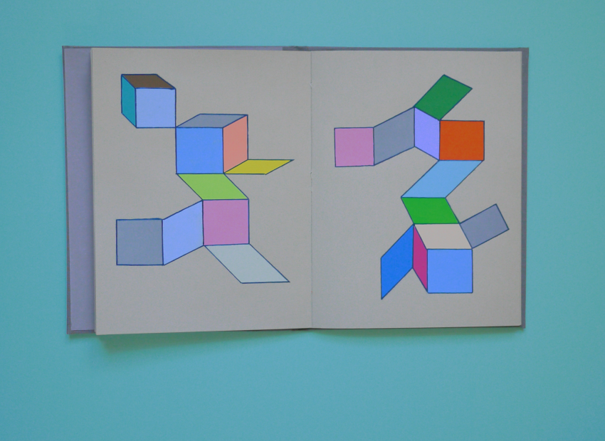 image du titre LE MASQUE DE DENTELLE