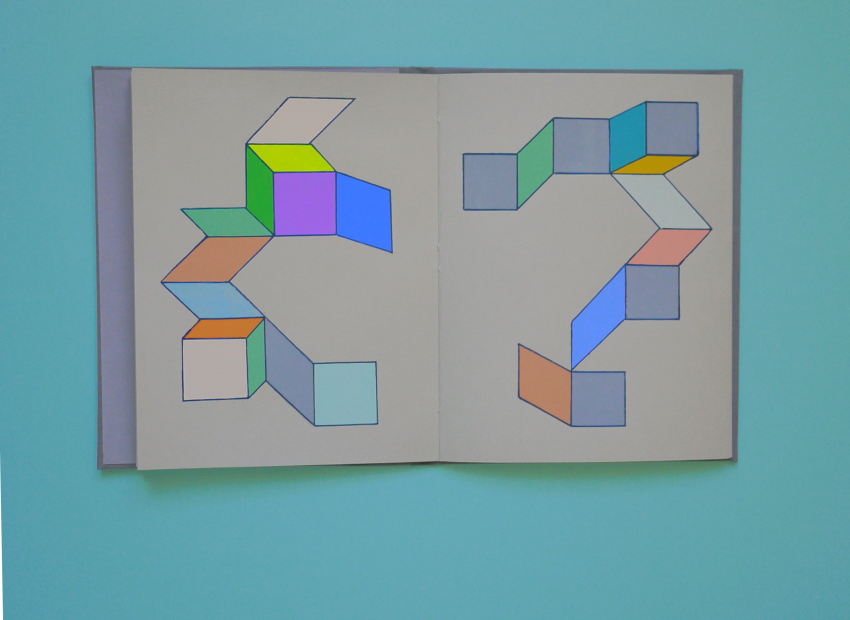 image du titre LE MASQUE DE DENTELLE