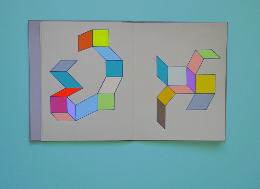 image du titre LE MASQUE DE DENTELLE